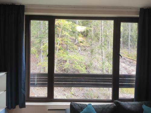 Forest Dream Apartment - Elit Pamporovo
