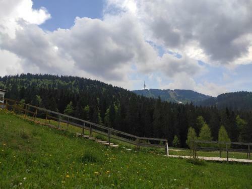 Forest Dream Apartment - Elit Pamporovo