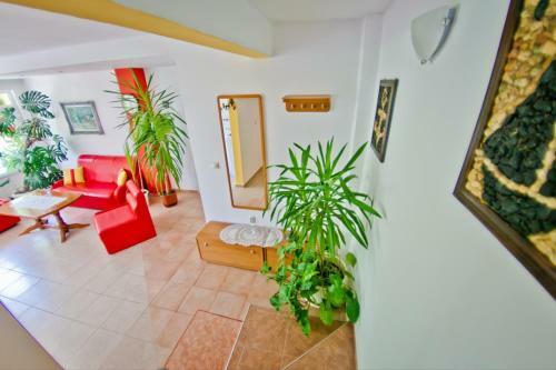 Villa Sequoia Sea View 8p