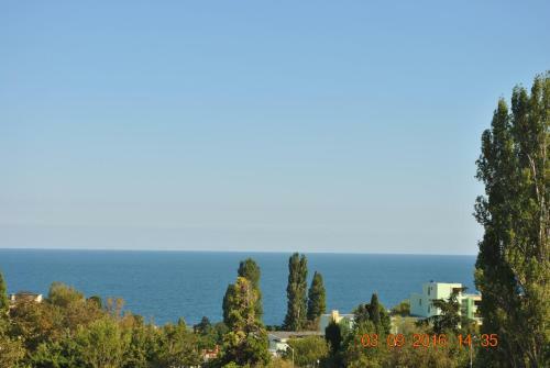 Hostal Guest House Palma