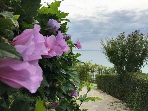 ?he Most Exlusive And Romantic Apartment On The Black Sea
