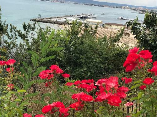 ?he Most Exlusive And Romantic Apartment On The Black Sea