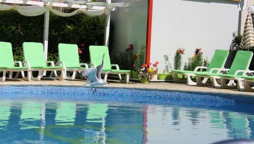 Hotel Eden