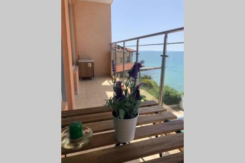Sea Front Apartment Coral Beach