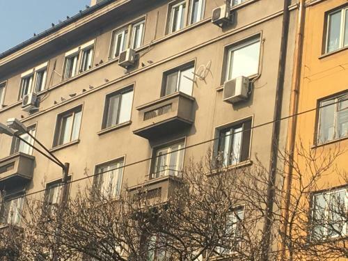 Golden Dome View Apartment