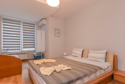 Vitosha View One Bedroom Apartment