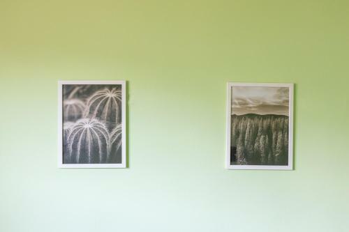 Hostal Oleander Rooms & Apartment