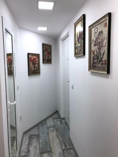Apartamento Cosy House