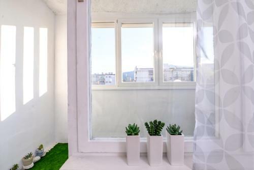 Atacama - Spacious Apartment In Lozenets Area