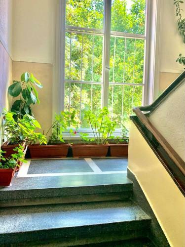 Apartamento Exceptional Refurnished Studio Top Location