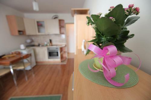 Apartamento Lovely Home, Very Good Located!