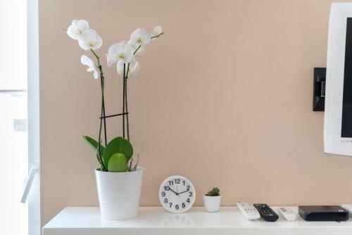 Apartamento Studio Talisman