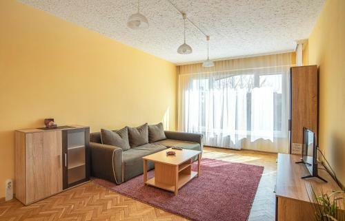 Warm And Spacious 1 Bedroom Apartment