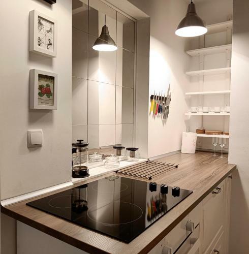 Newly Refurbished Apartment In The City Center