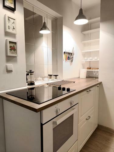 Newly Refurbished Apartment In The City Center