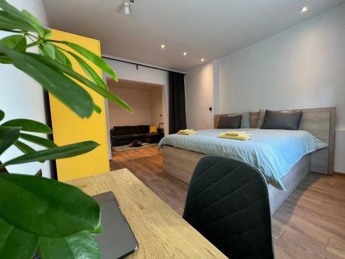 Apartamento Home 12