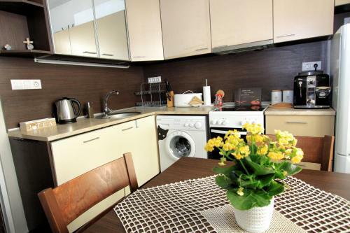Colorful Apartment