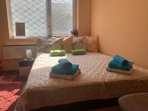 One Bedroom Apartment Near Downtown