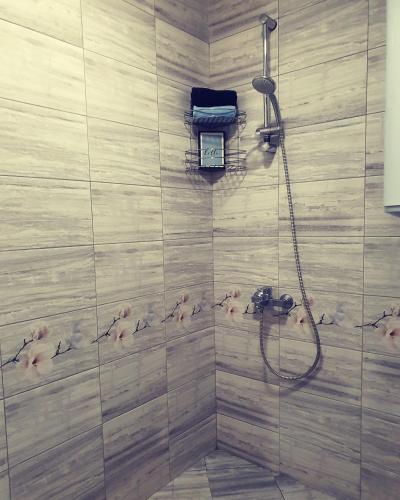 Apartment Idea 2
