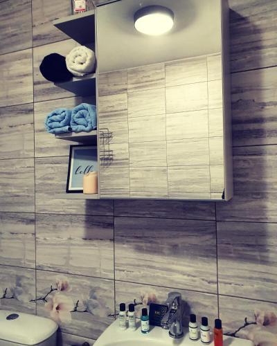 Apartment Idea 2