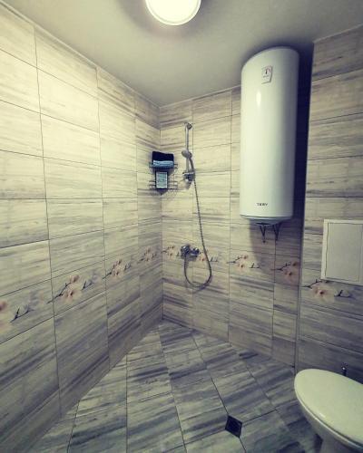 Apartment Idea 2