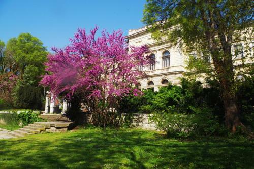 Apartament Maria Luiza
