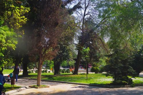 Apartament Maria Luiza