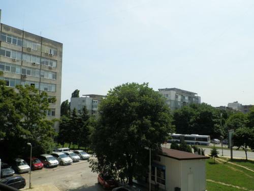 Cocoa Apartment