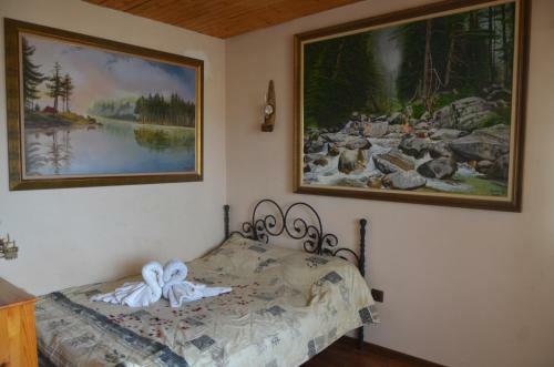 Hostal Guest House Amazonia