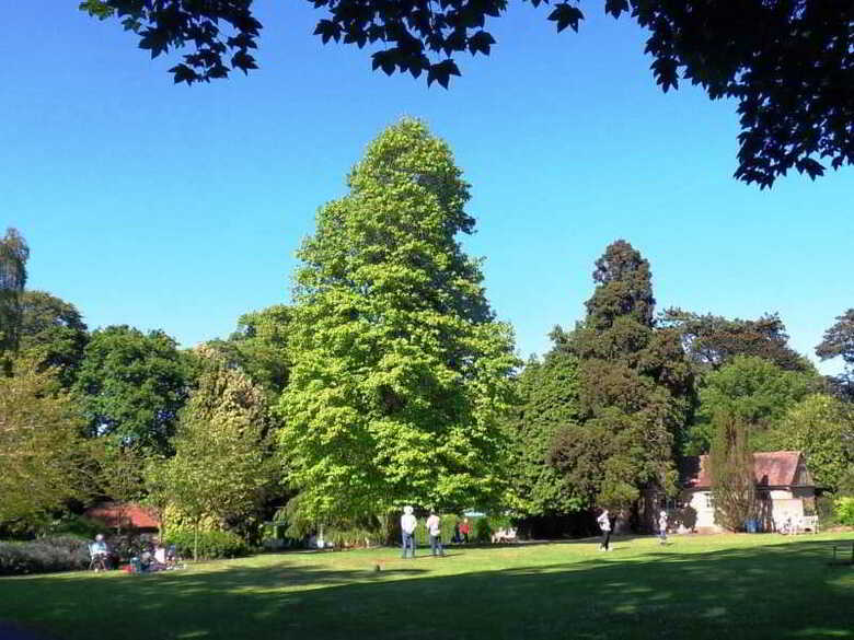 Luccombe Hall Country House Hotel