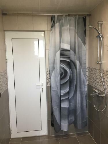 Hostal M&v House