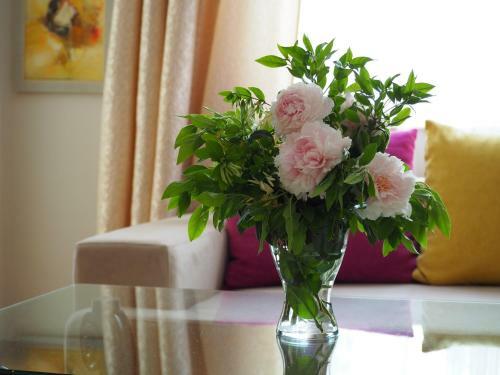 Yoana Apartment