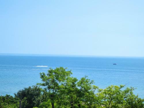 Apartamento Blue Sea Star