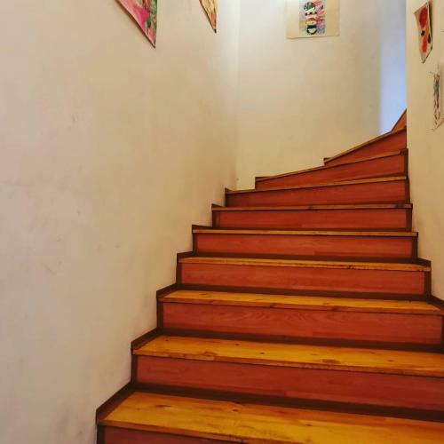 Hostal ???? ?? ????? Satori Bor, ?????