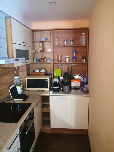 Apartament Briz