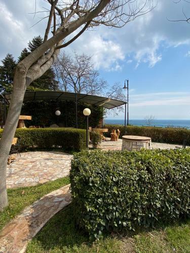 Hostal Maxim