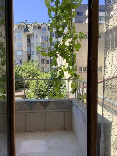Apartamento Kussmann Appartment