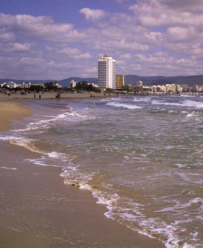 Single Apartment In Searegal Compex