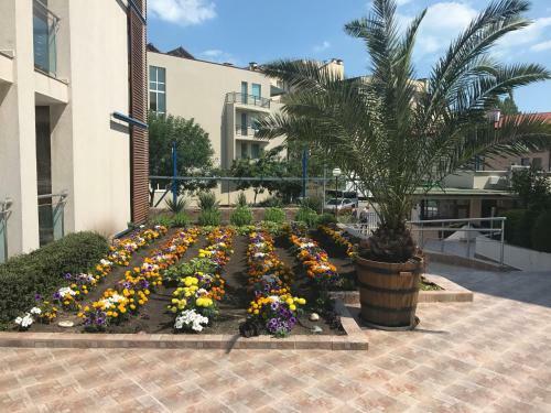Sun City 1 - Family Apart Complex