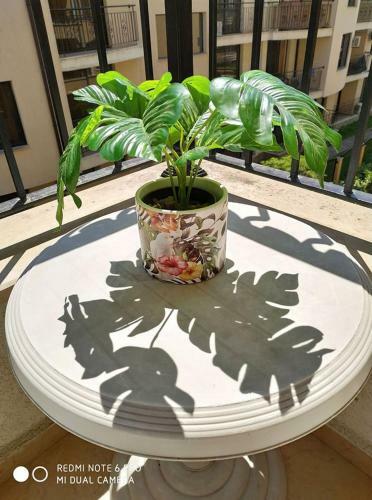 Apartamento Studio Kris Royal Sun