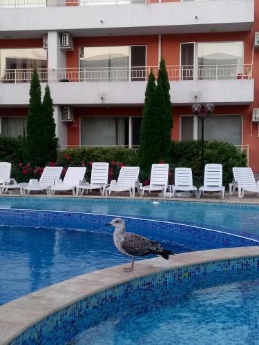 Nessebar Fort Club Apartment 226