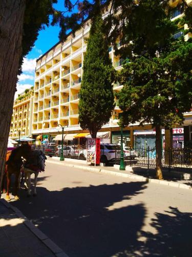 Apartamento Planeta Hotel-miramar ??????????
