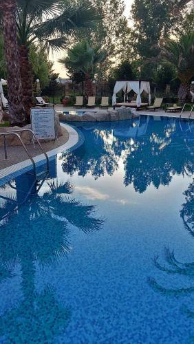 Apartamento ???????????? Aphrodita Roce