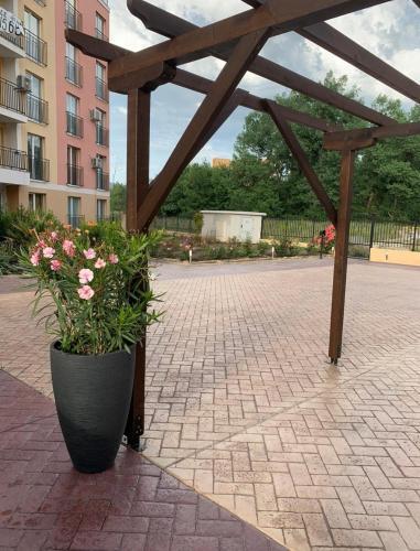 One Bedroom Apartment Near The Sea