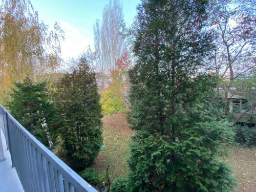 Apartamento Cozy Studio In Sapphire