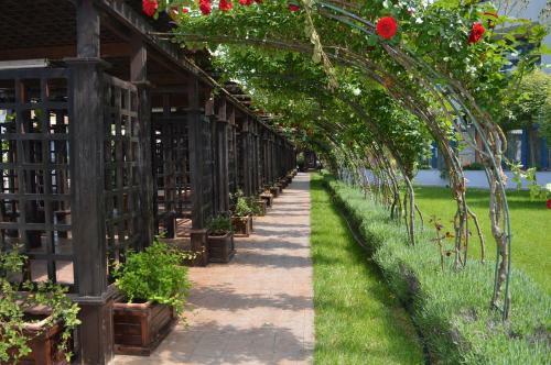 Trakia Plaza Apartments - Bulgaria Okiem Tubylca