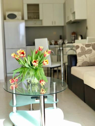 Beachfront Apartments By Marty's