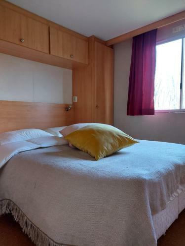 Stacaravan 169 5* Camping de Kuilart In Friesland