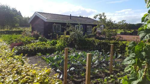 Bed & Breakfast De Priesnitzhoeve