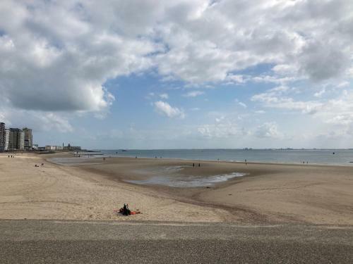 Apartamento Het Zwaluwnest